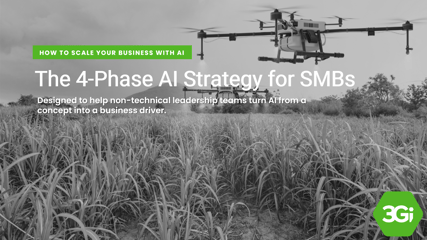 4-Step Framework for AI Adoption